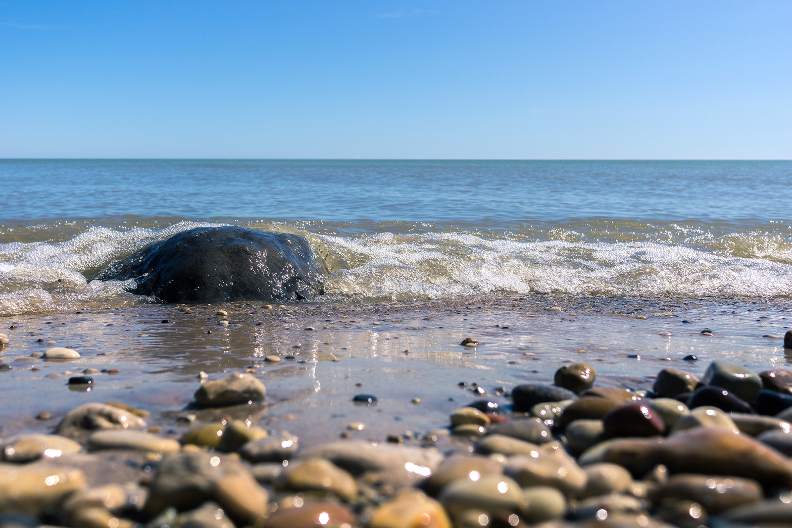 rocks on beach